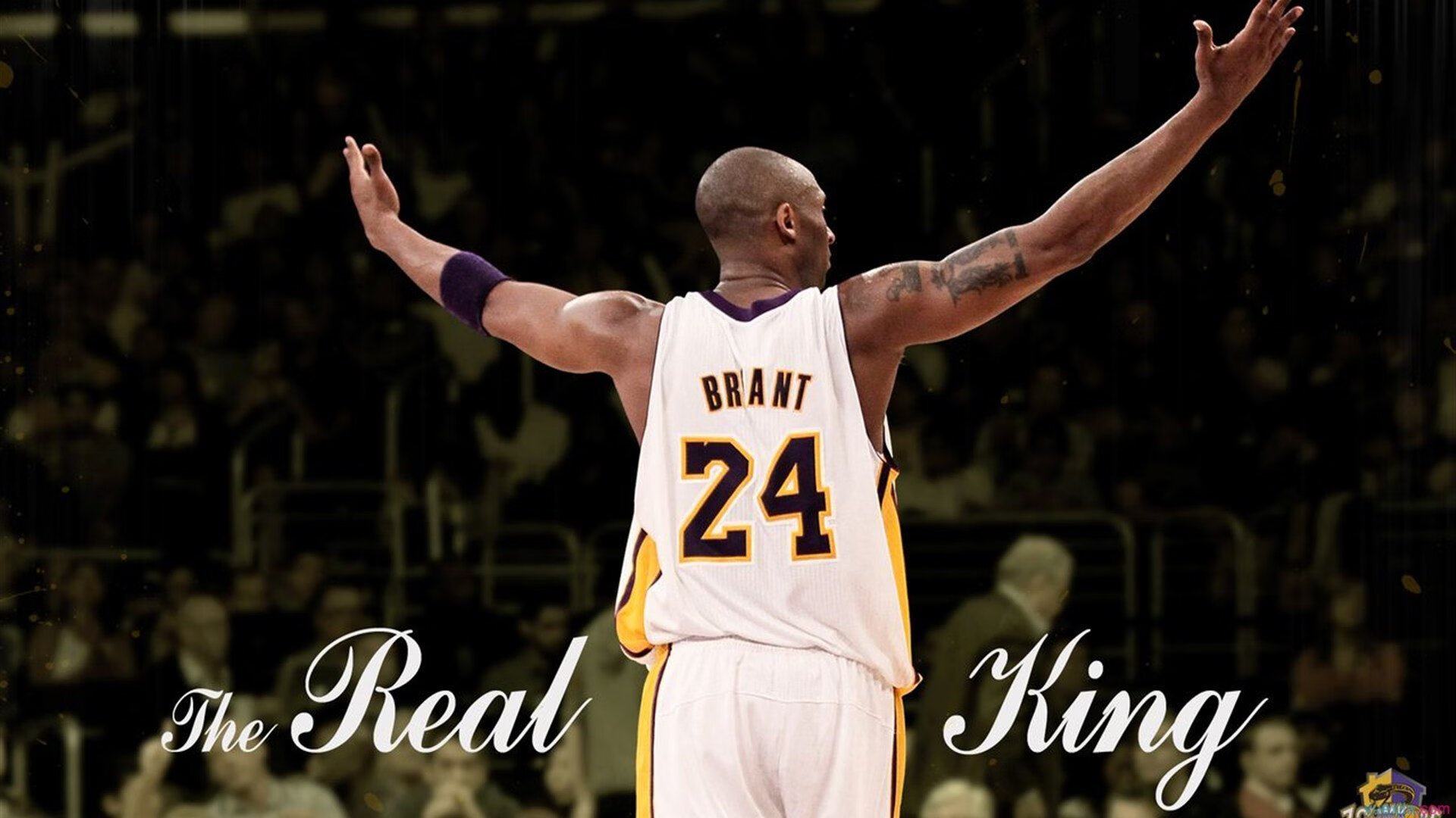 美网巅峰对决,新星闪耀与传奇延续的激情碰撞